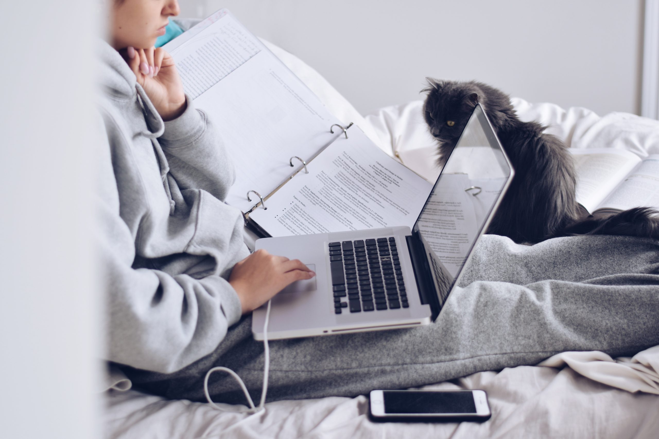 Fibra rural Galicia - Internet rural Galicia - Fibra en Galicia -Compañías de fibra gallegas - Móvil Galicia